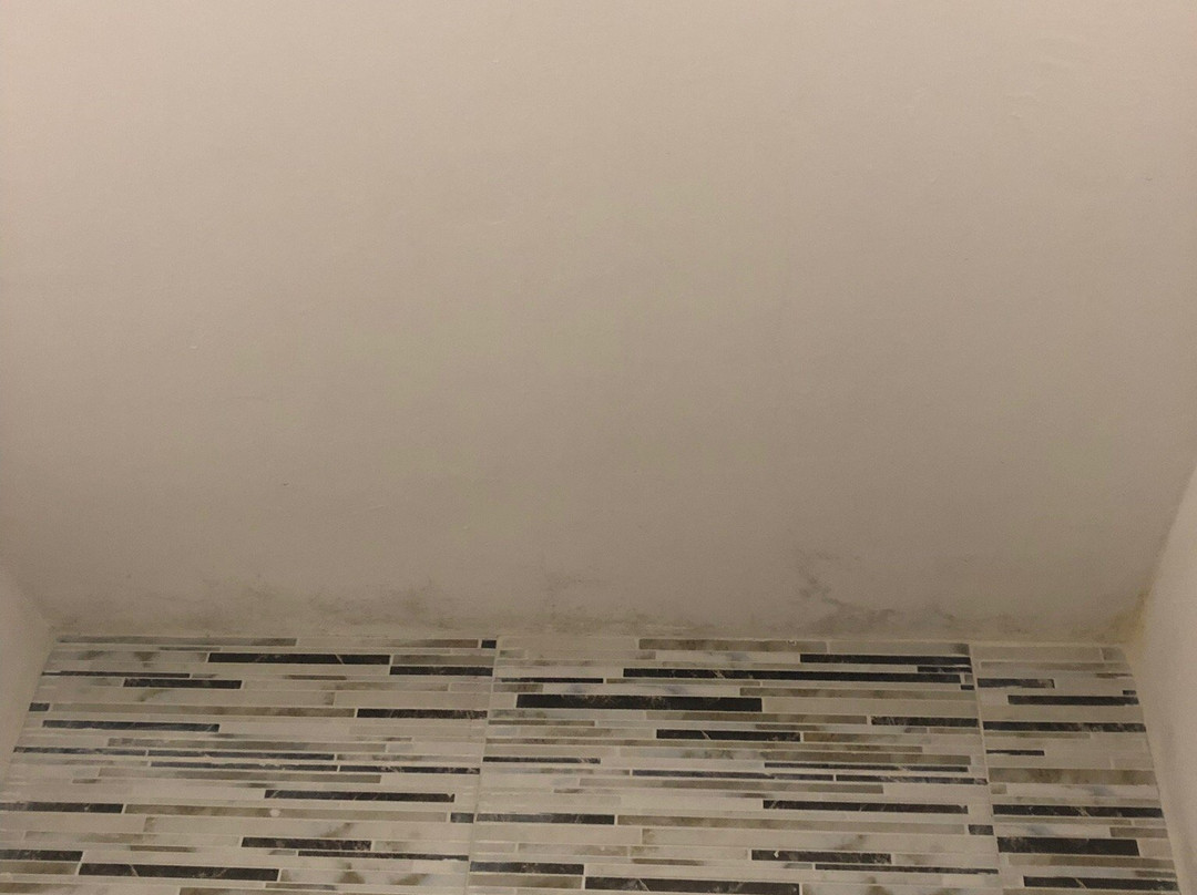 Hotel Catedral Campeche主图