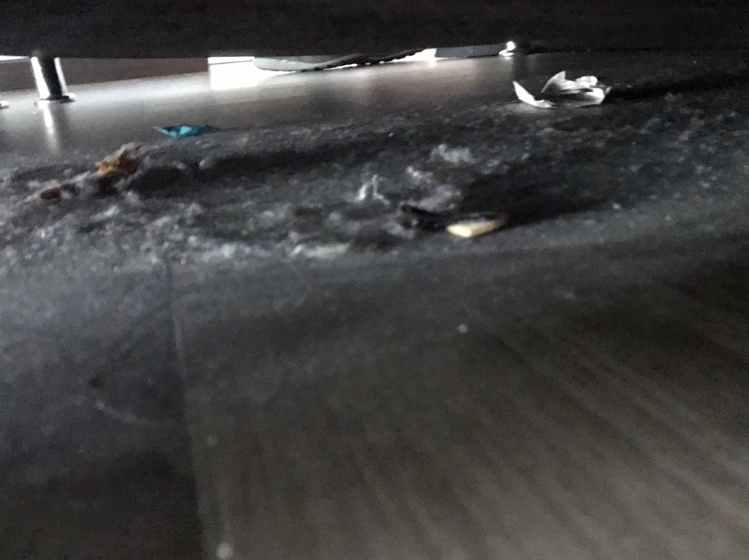 海洋套房 by The Only Bnb主图