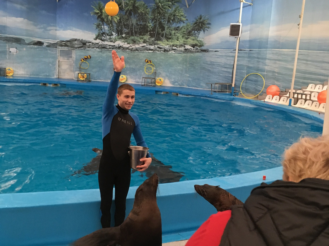 Alushta Dolphinarium Nemo-阿卢什塔必去景点