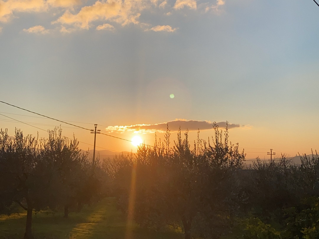 Casa Vacanze La Ginestra主图