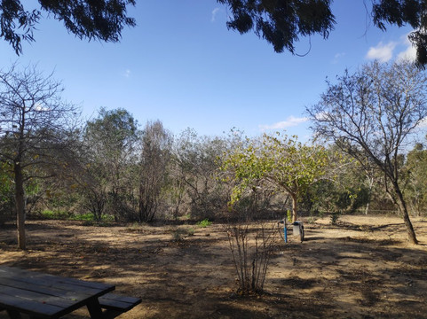HaRishonim BaNegev Site-Sderot必去景点