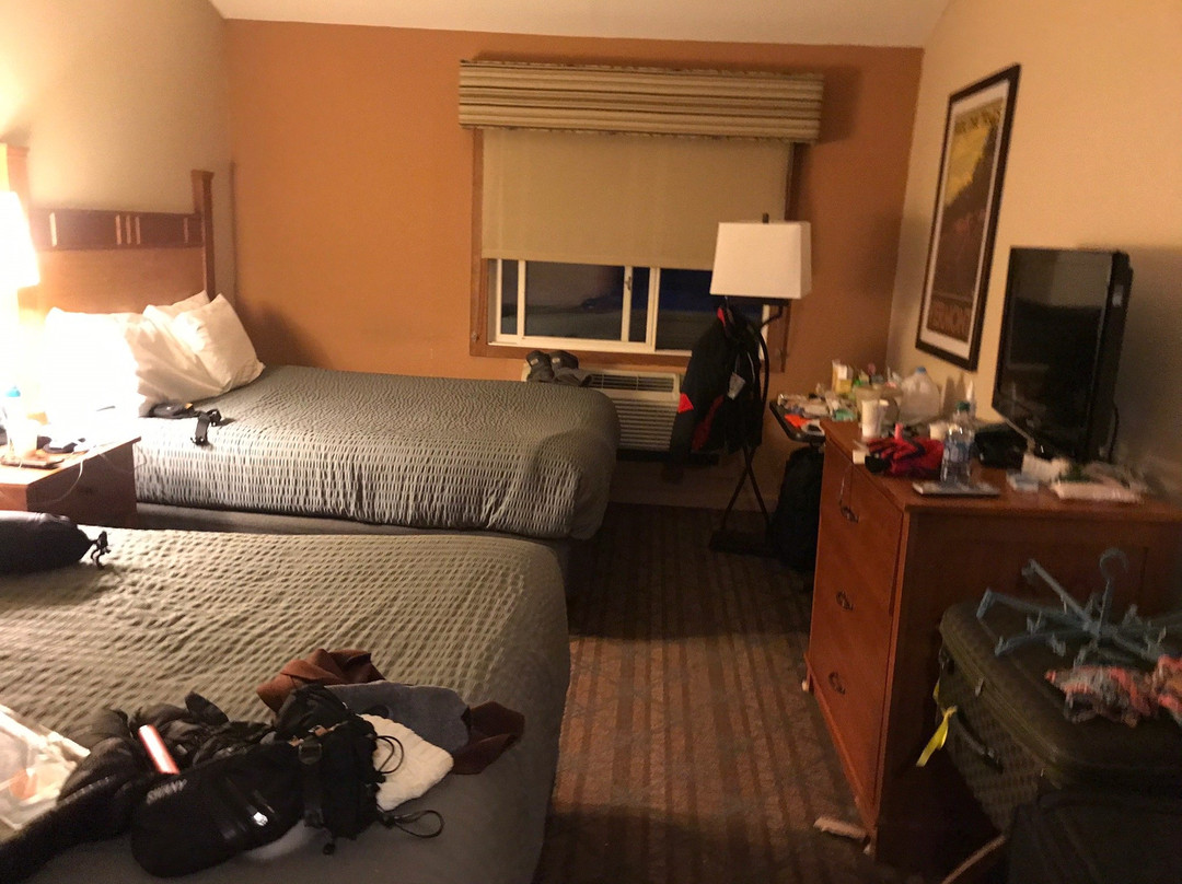 Black Bear Lodge主图