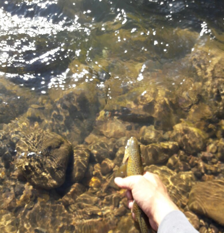 Termas de Cajon Grande-Malargue必去景点