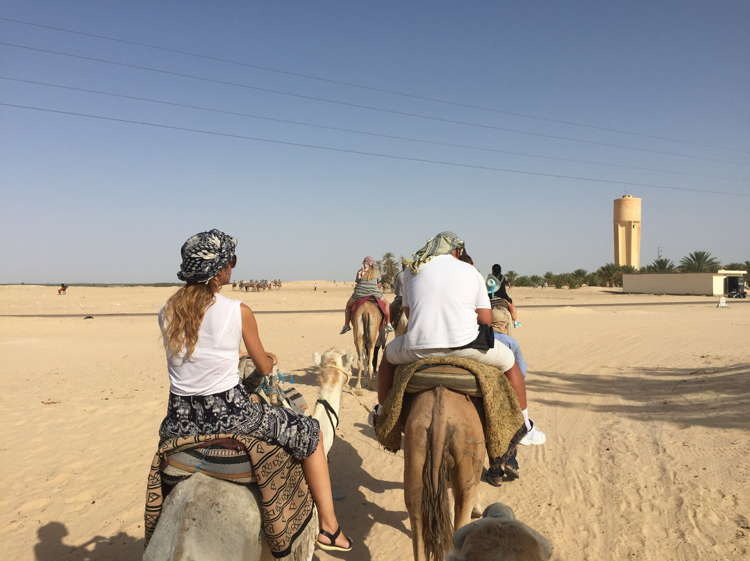 Silence Du Desert-杜兹必去景点