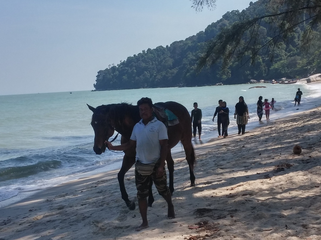 Penang Monkey Beach-峇都丁宜必去景点