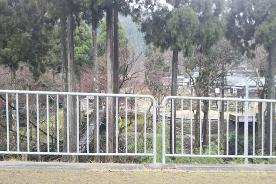 Tree Picnic Adventure Ikeda-池田町必去景点