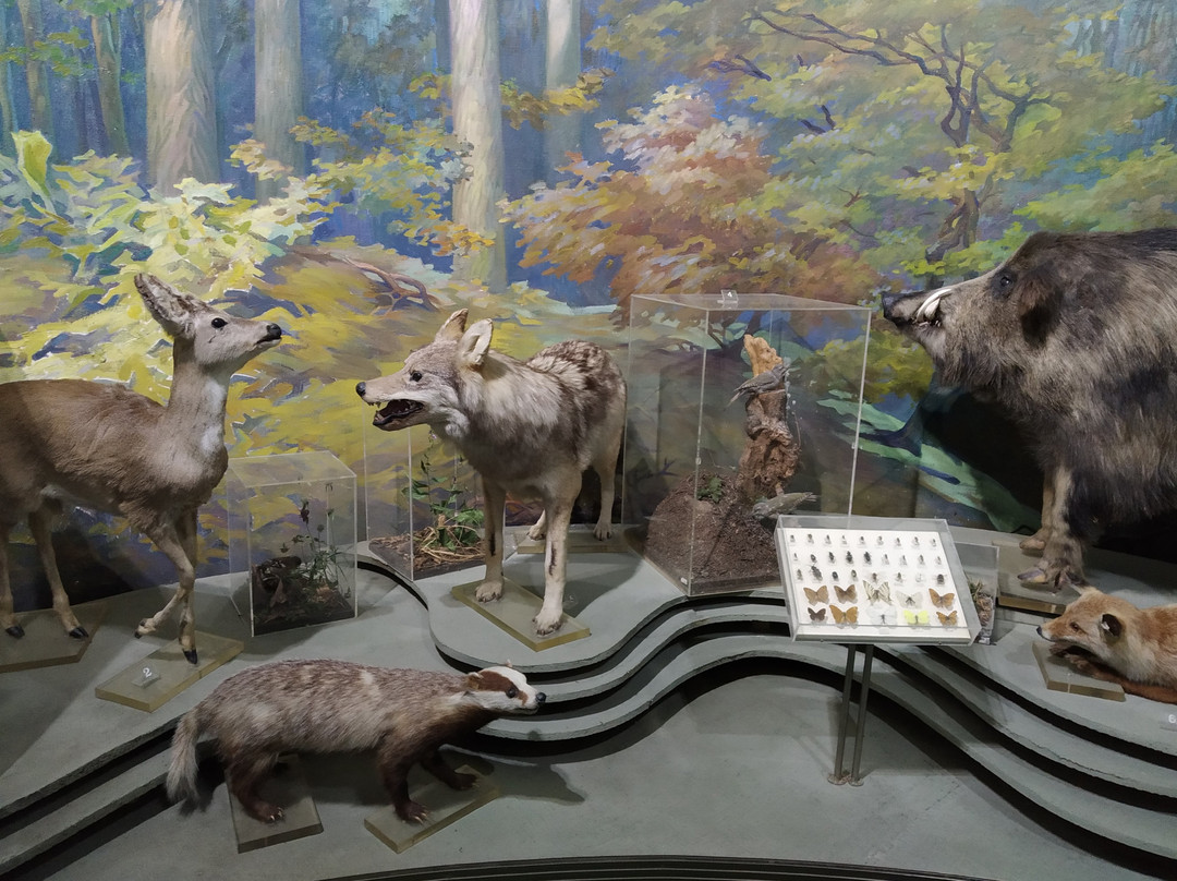 National Museum of Ethnography and Natural History-基希讷乌必去景点