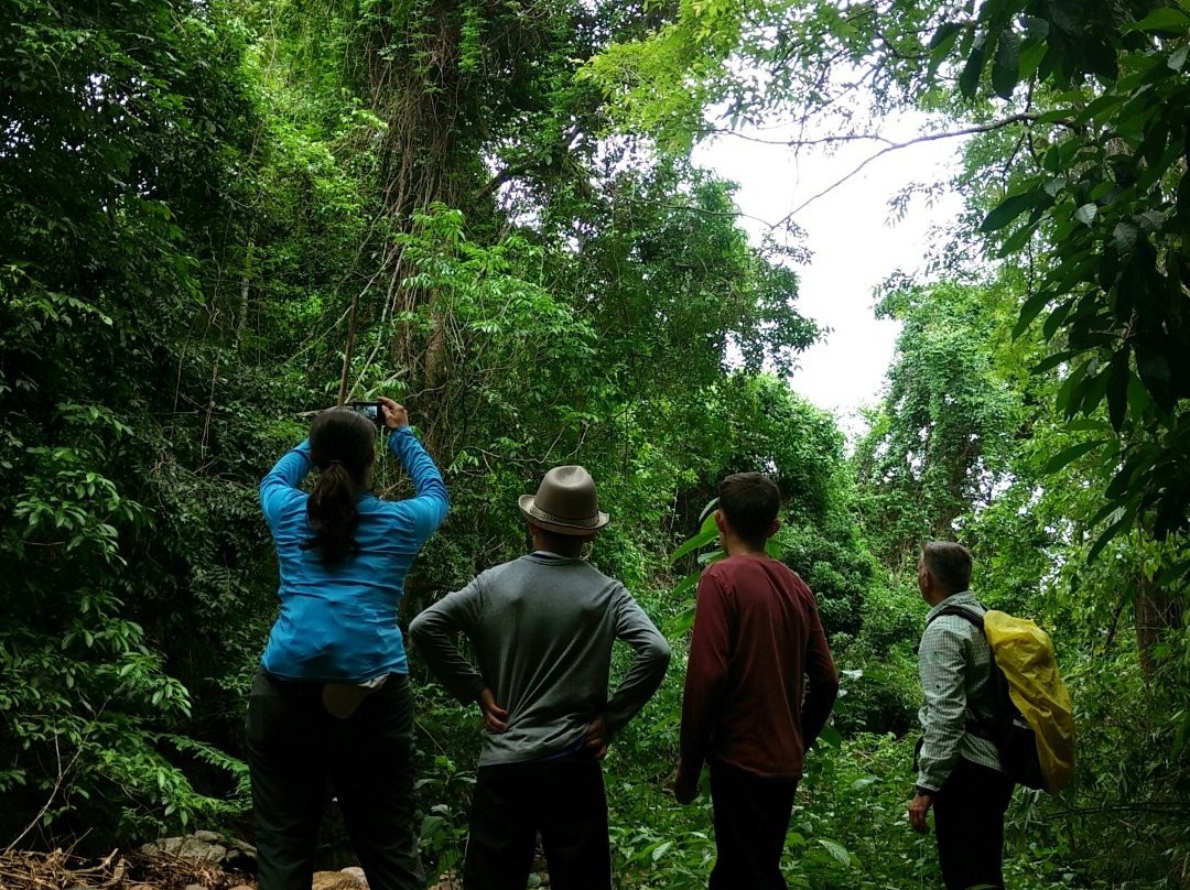 Kaeng Krachan National Park景点图片