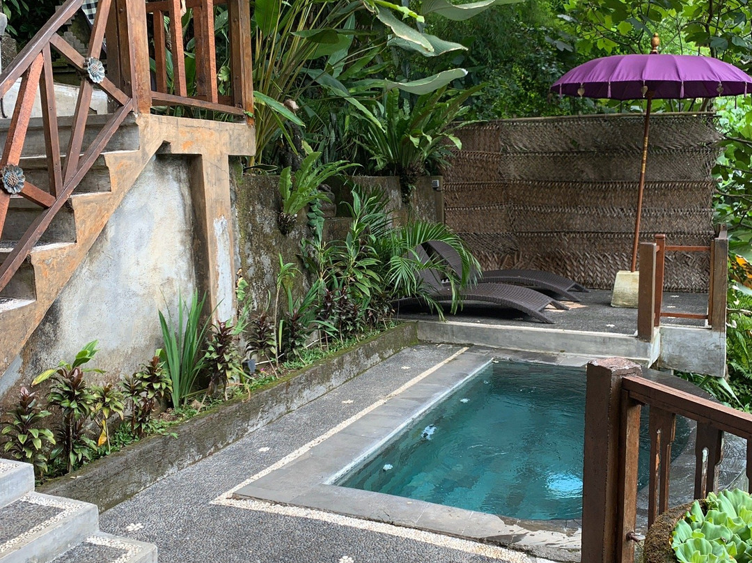 阿旺阿旺别墅主图