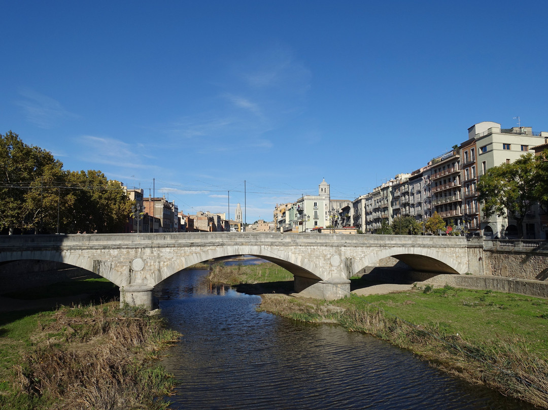 Pont de Pedra景点图片