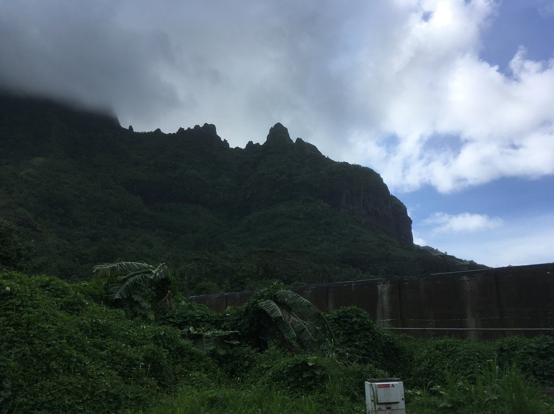 Route des Ananas-莫雷阿岛必去景点