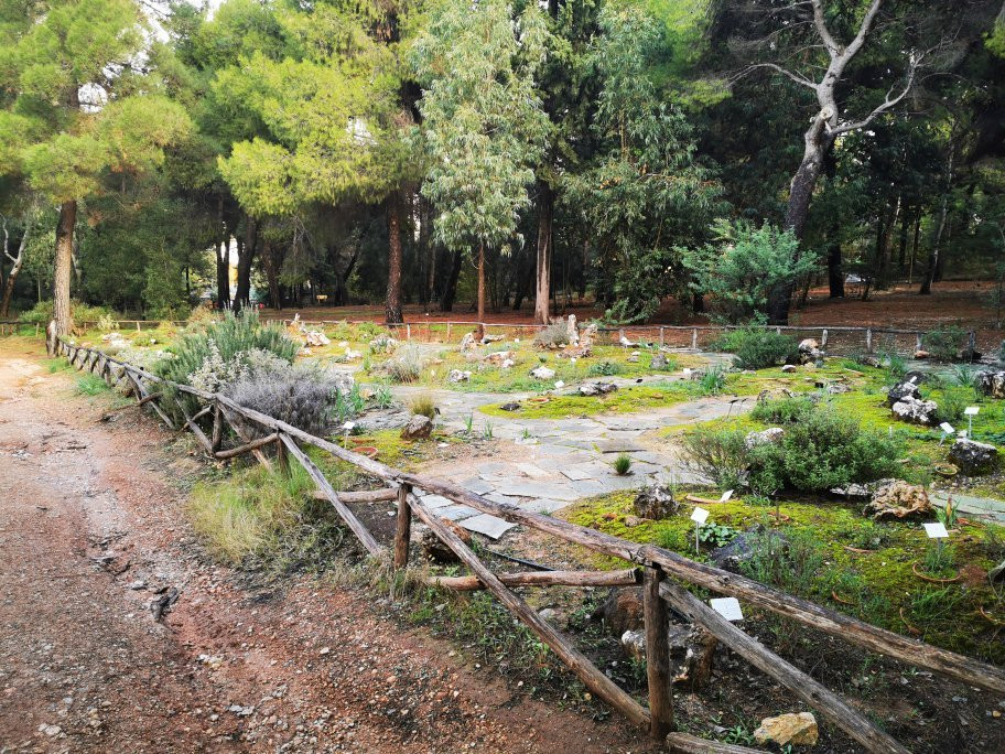 Botanical Garden Diomedes景点图片