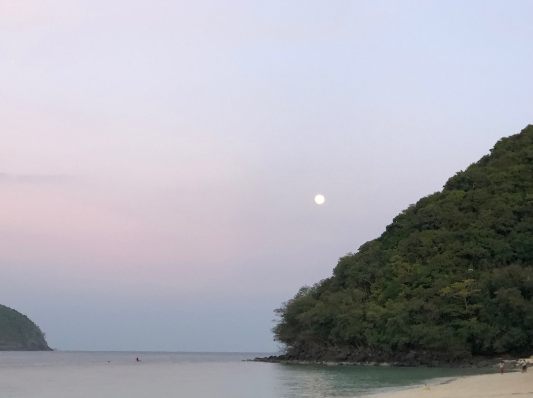 珊瑚岛度假村主图