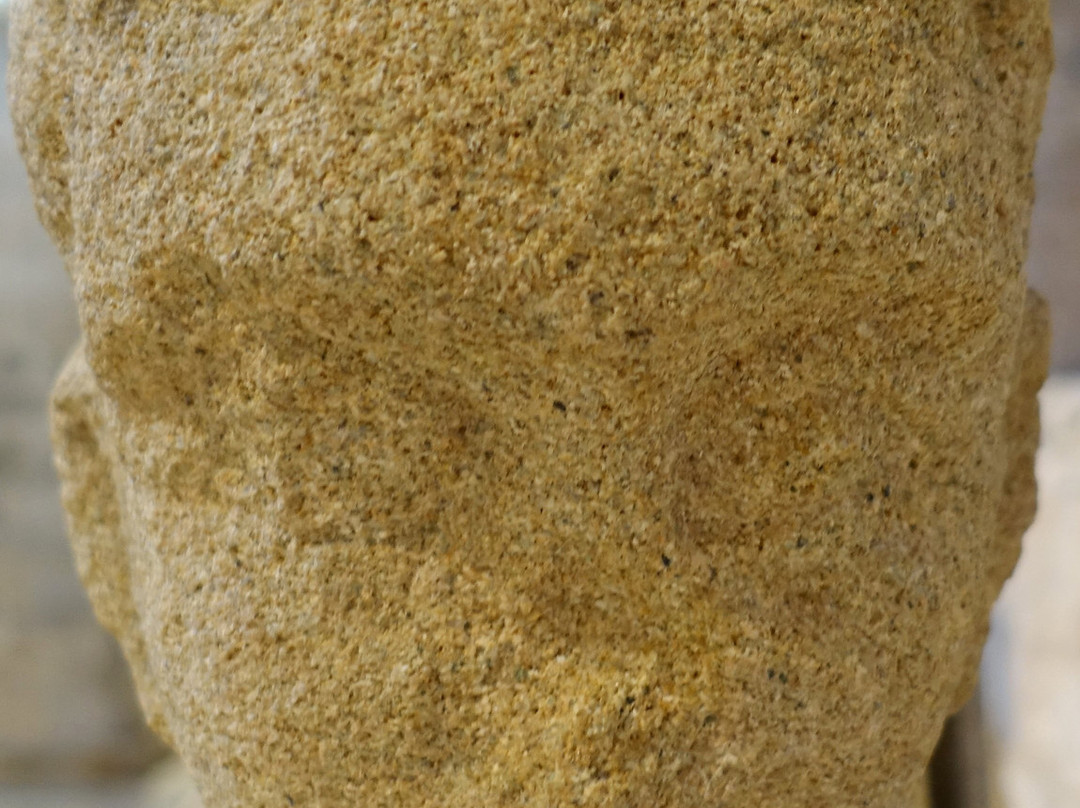 Museu d'Arqueologia de Catalunya景点图片