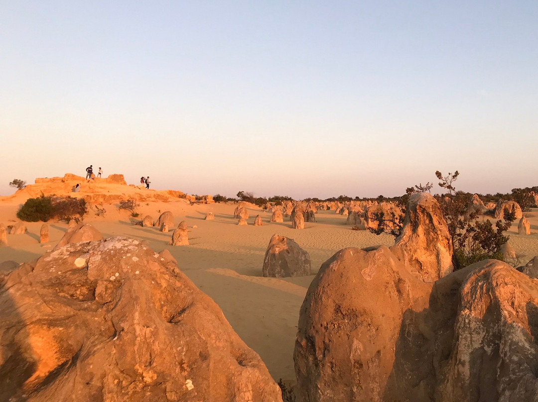 Pinanacles Desert-Nambung必去景点