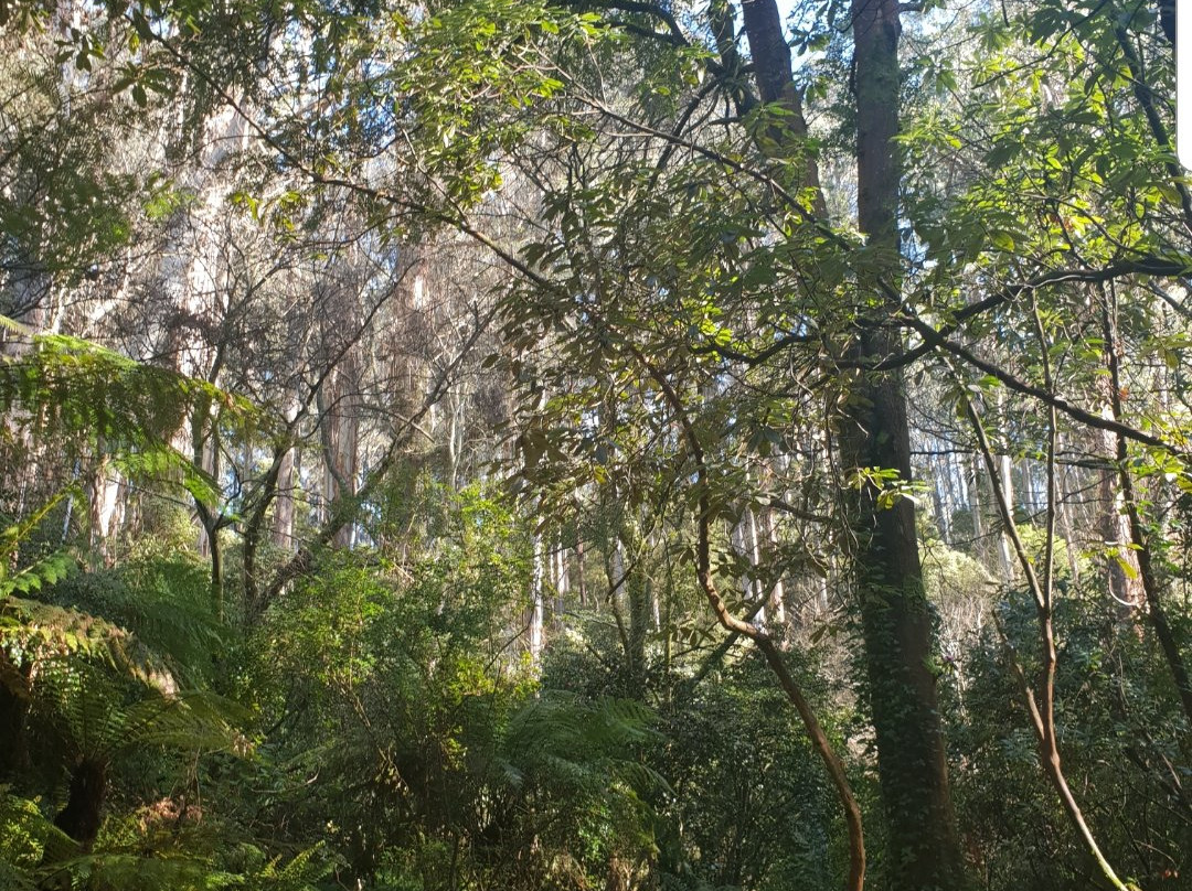 林登花园雨林休养所主图