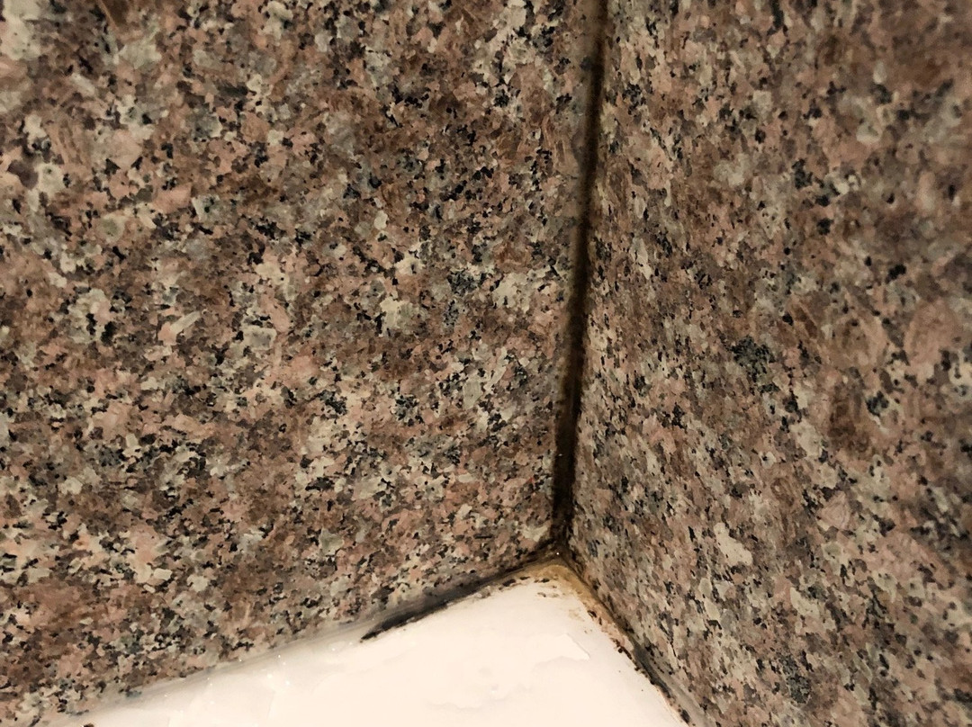 La Quinta Inn & Suites by Wyndham Blue Springs主图