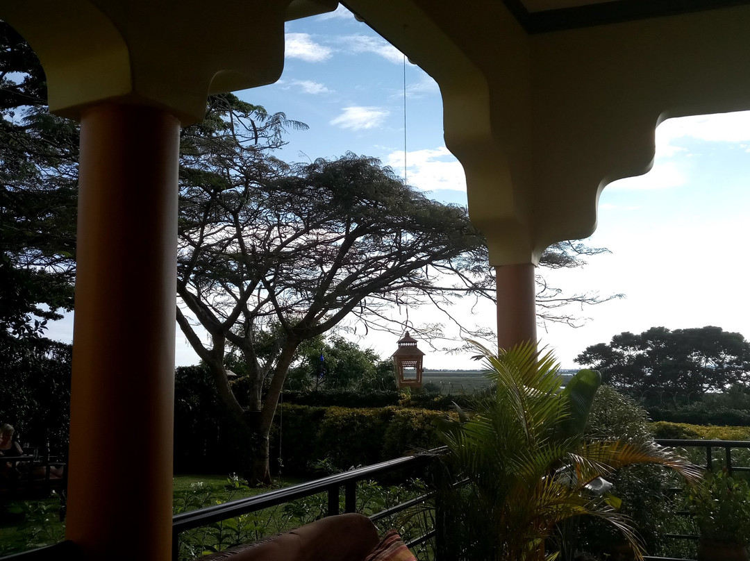 BlueMonkey Guesthouse主图