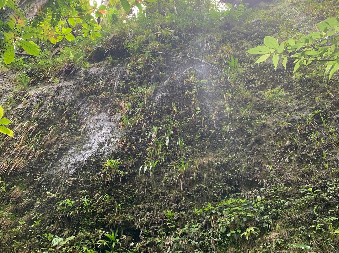 Spanny Falls-多米尼克必去景点