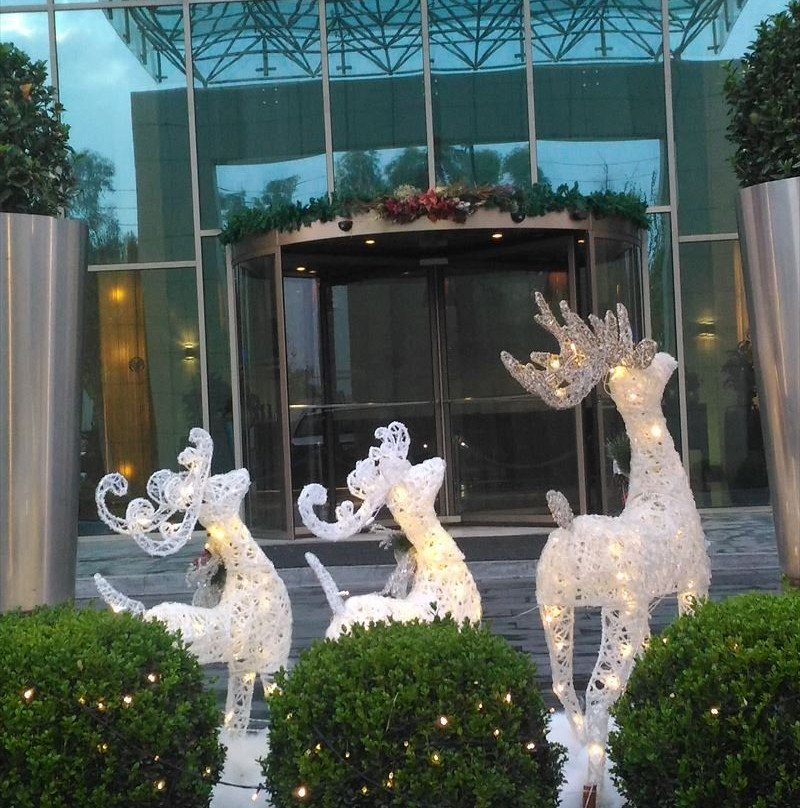 埃尔比勒罗塔纳酒店主图