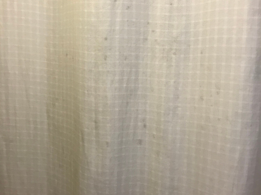 Super 8 by Wyndham Eufaula主图