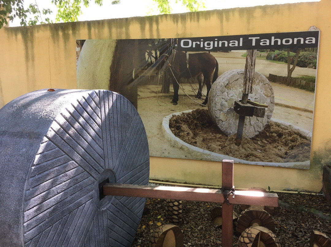 Tequila Factory Cancun and Villas-从莫雷洛斯港必去景点