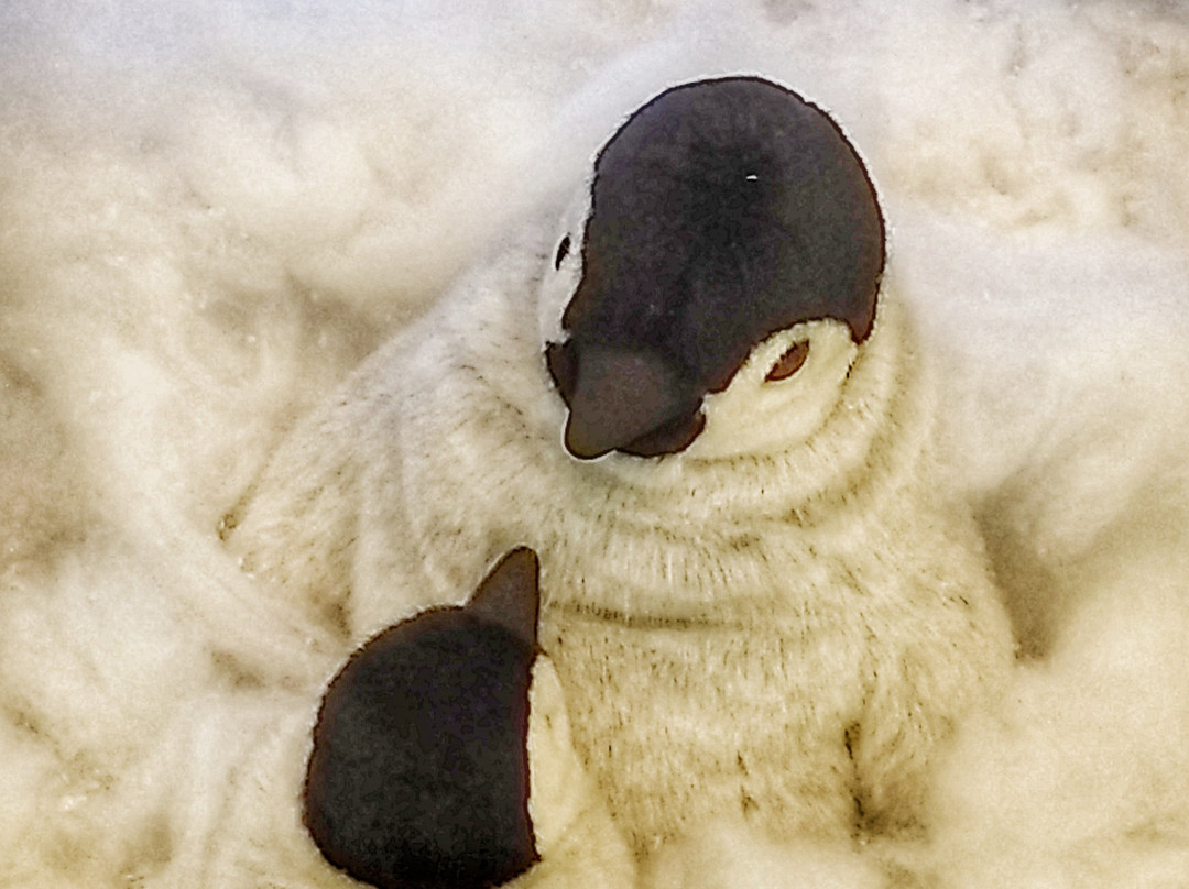 Boulevard Londrina Shopping-Londrina必去景点