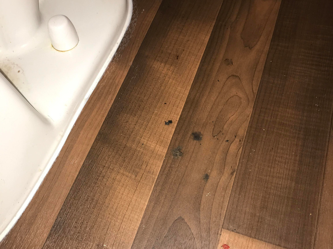 Extended Stay America - Orlando - Maitland - 1776 Pembrook Drive主图