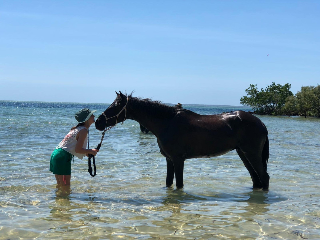 Mozambique Horse Safari景点图片