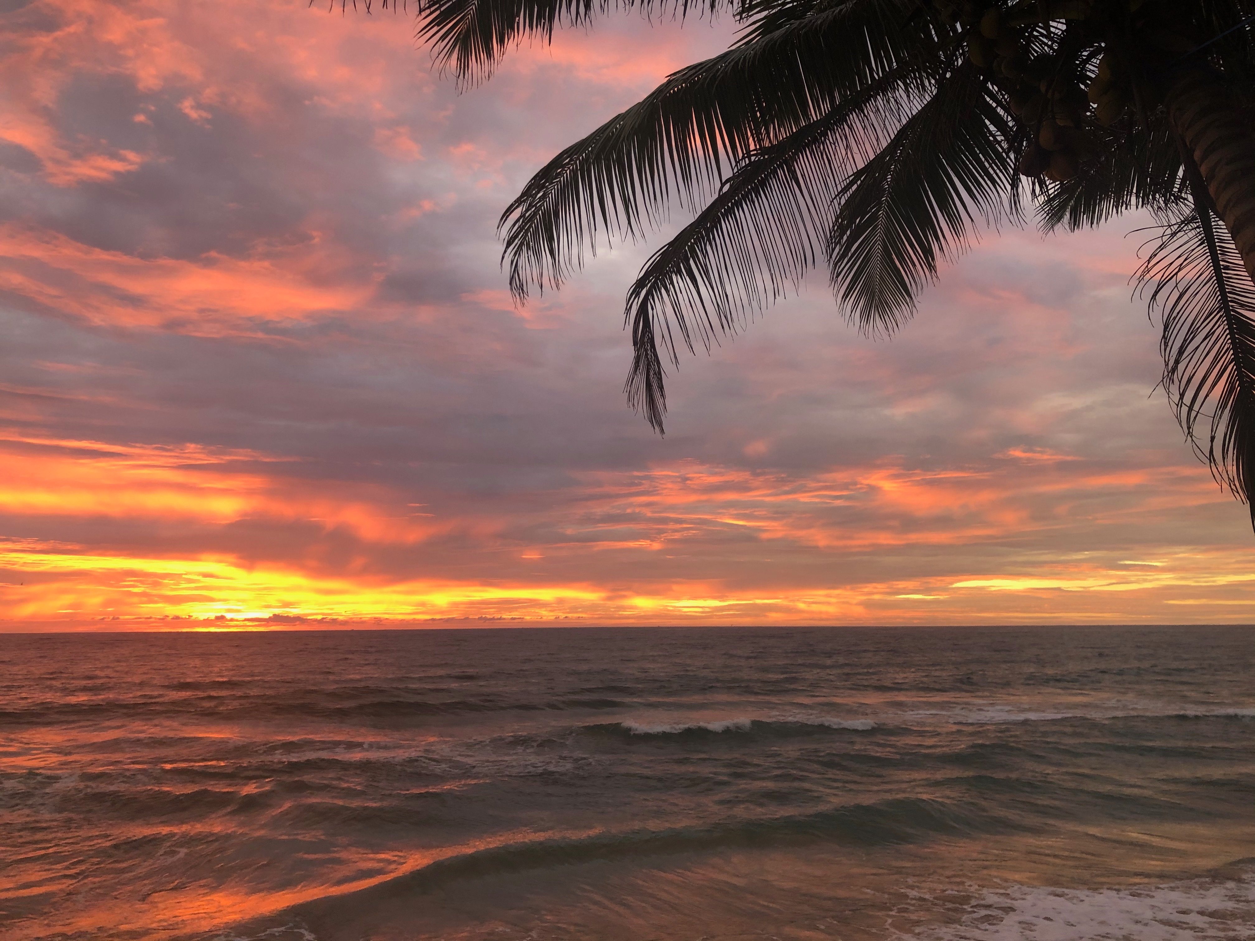 Janus Paradise Rest-泳池