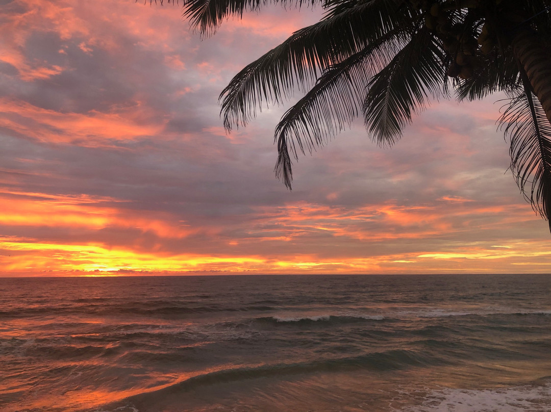 Janus Paradise Rest主图