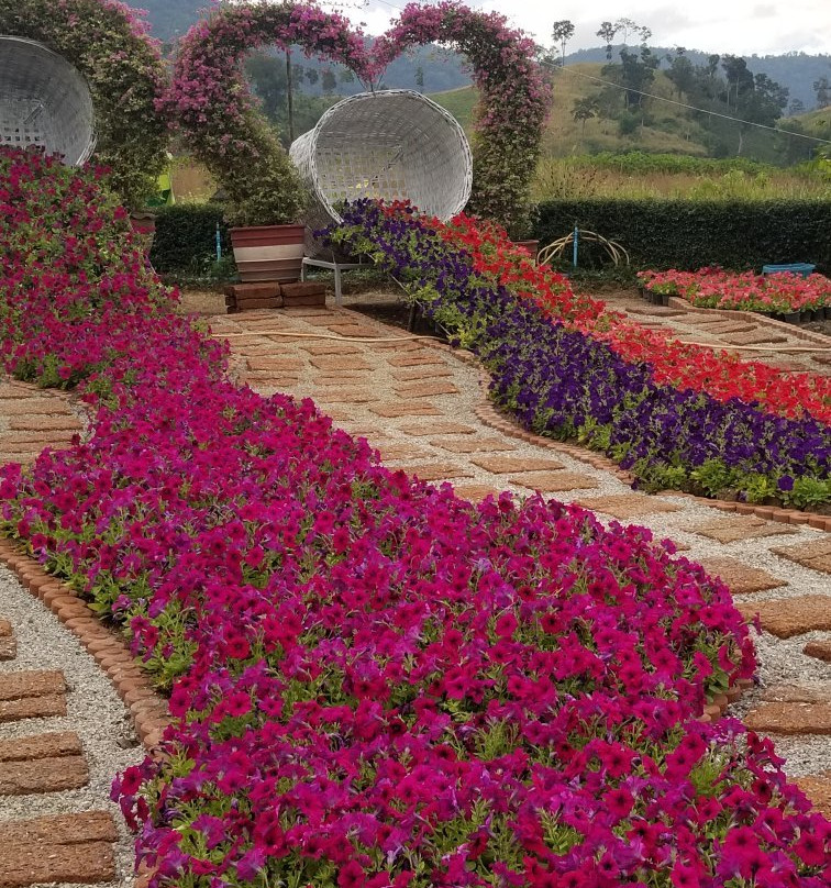 Botanical Garden-万莱必去景点