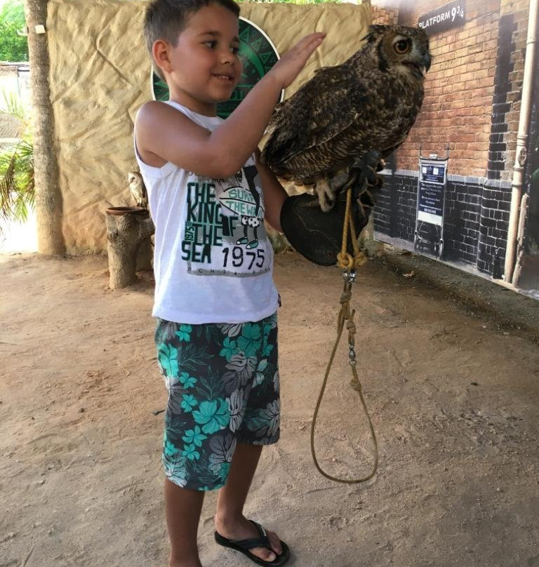 Zoologico Pet Silvestre - Maragogi-Maragogi必去景点