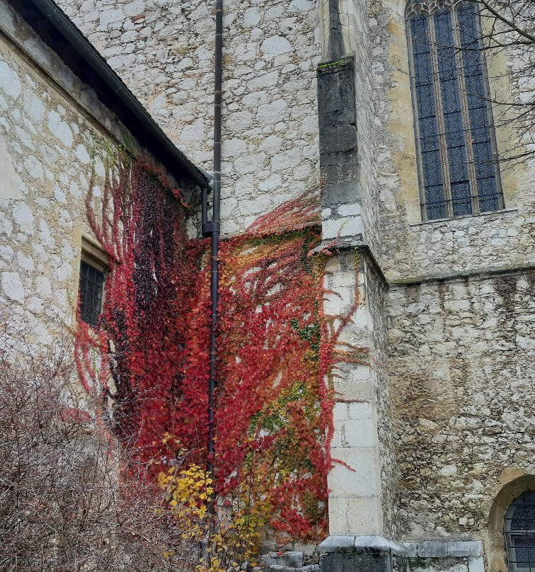 Novo Mesto Cathedral-Novo Mesto必去景点