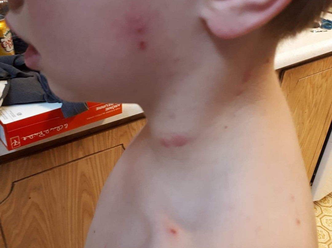 Comfort Inn & Suites Langley主图