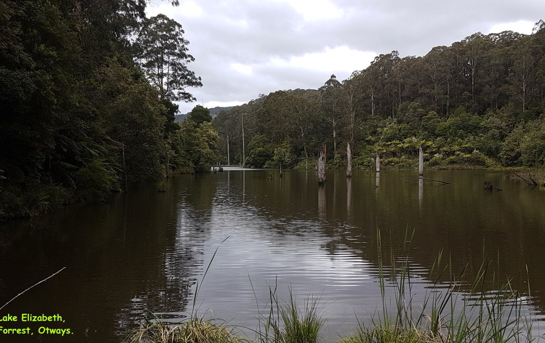 Lake Elizabeth-Forrest必去景点
