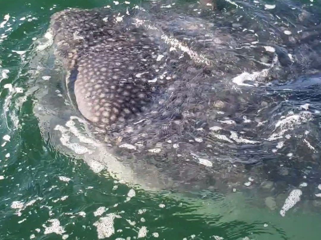 Los Vientos Hotel主图