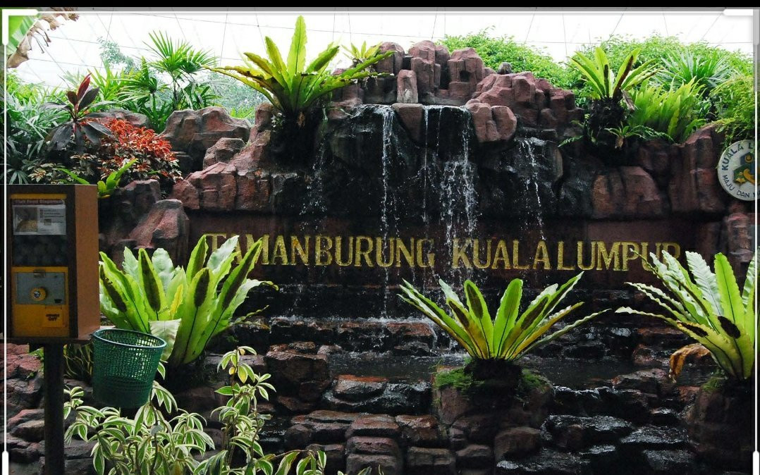 百鸟乐园-密山市必去景点