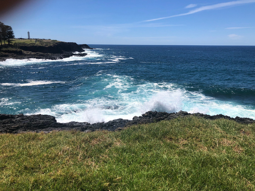 Austinmer Beach-卧龙岗市必去景点