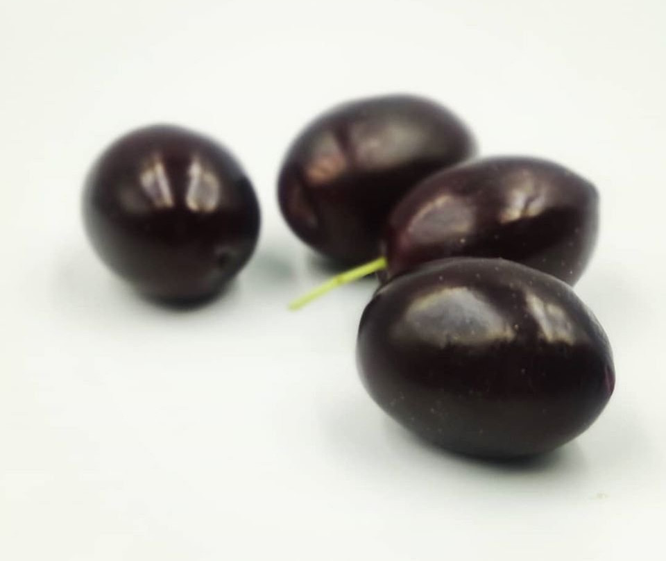 Virginia Olive Oil & Olives-Vatopedi必去景点