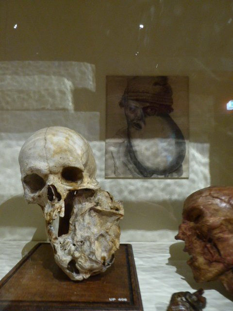 Universiteitsmuseum Utrecht-乌特勒支必去景点