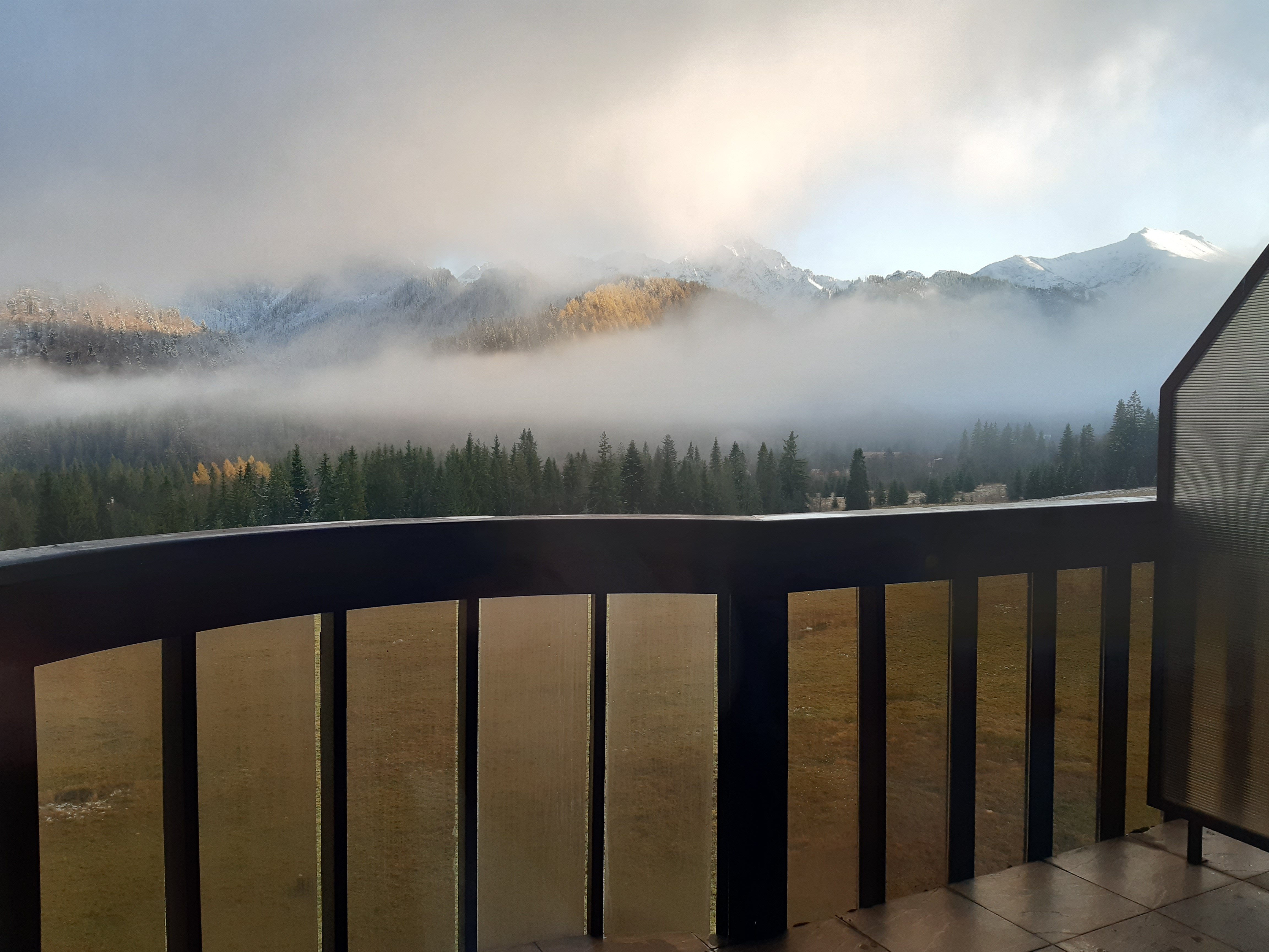 Hotel Montfort Wellness & Spa Tatranska Javorina-酒店景观