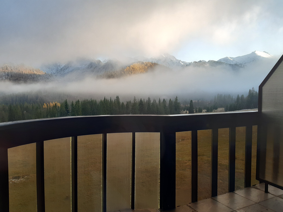 Hotel Montfort Wellness & Spa Tatranska Javorina主图