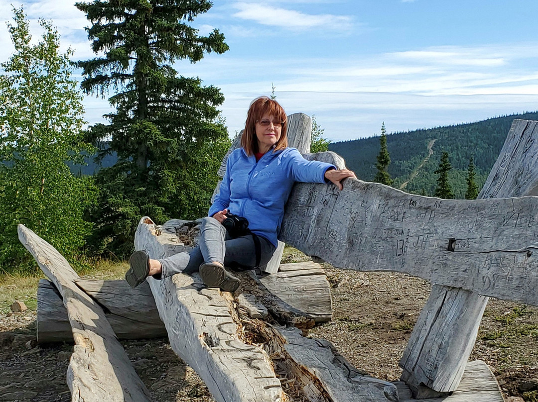 Midnight Dome-道森市必去景点