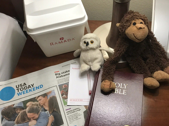 Ramada by Wyndham Denver International Airport主图