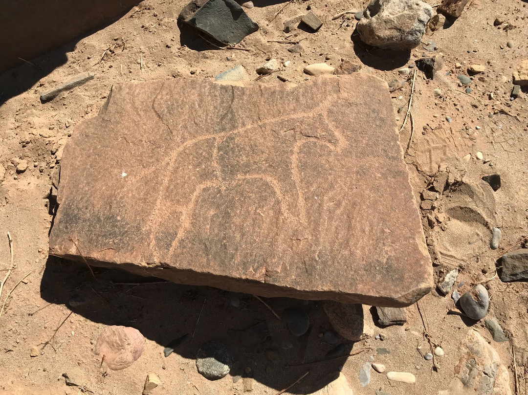 Oasis Dar Ouanou主图