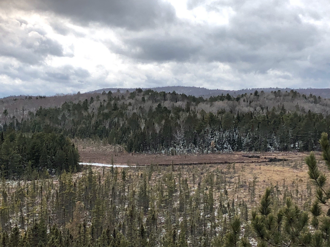 Algonquin Park-Whitney必去景点