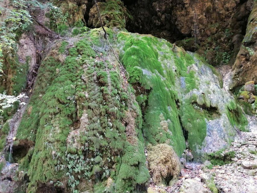 Oasi Wwf Valle della Caccia-Senerchia必去景点