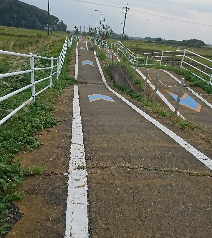 Tsukuba Rinrin Road-樱川市必去景点