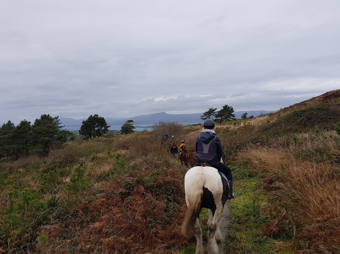 Bantry Bay Pony Trekking景点图片